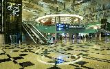 Fly back home with sweet memories